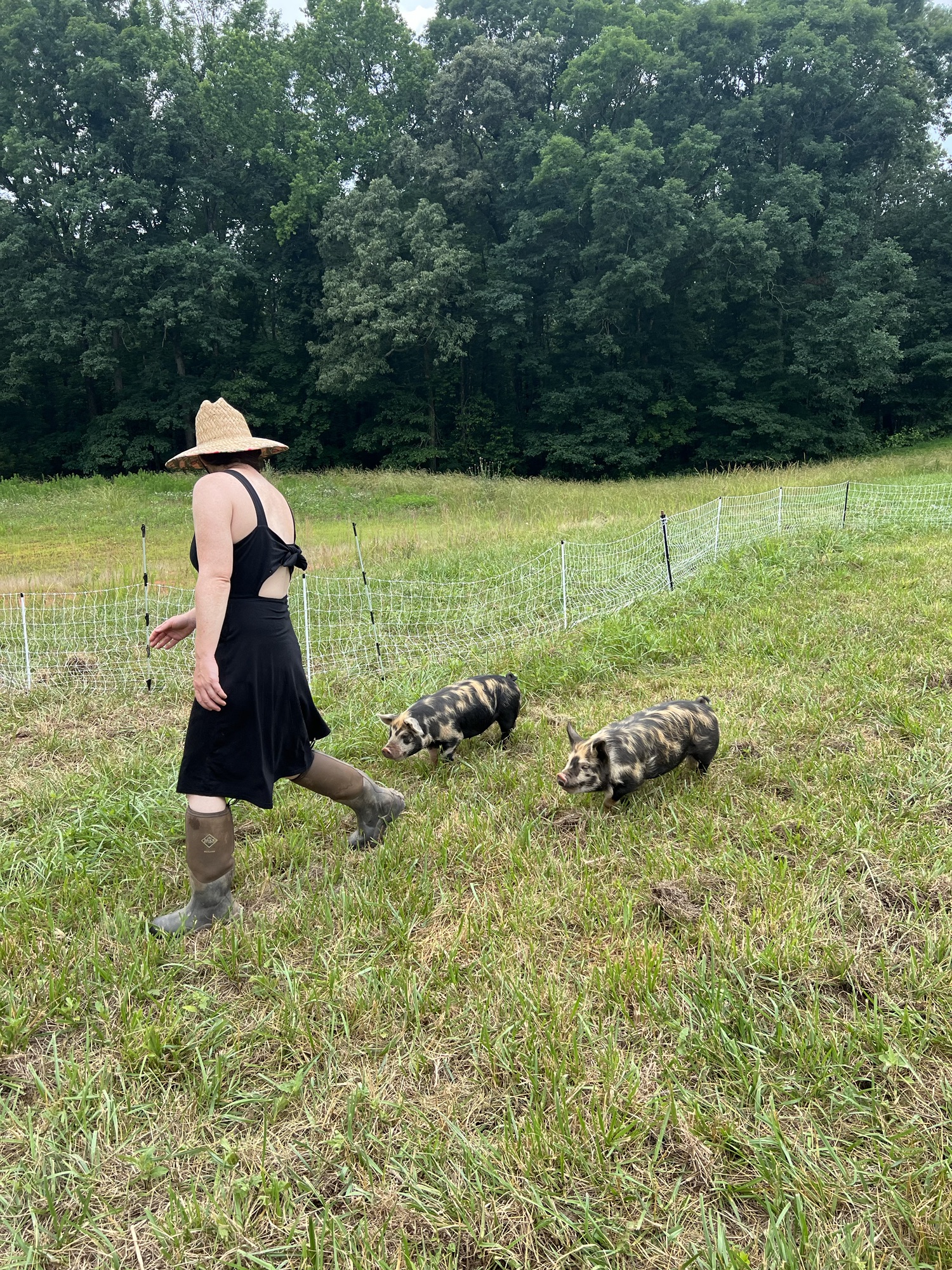 Learning to Farm: A Beginner’s Insights on Getting Started