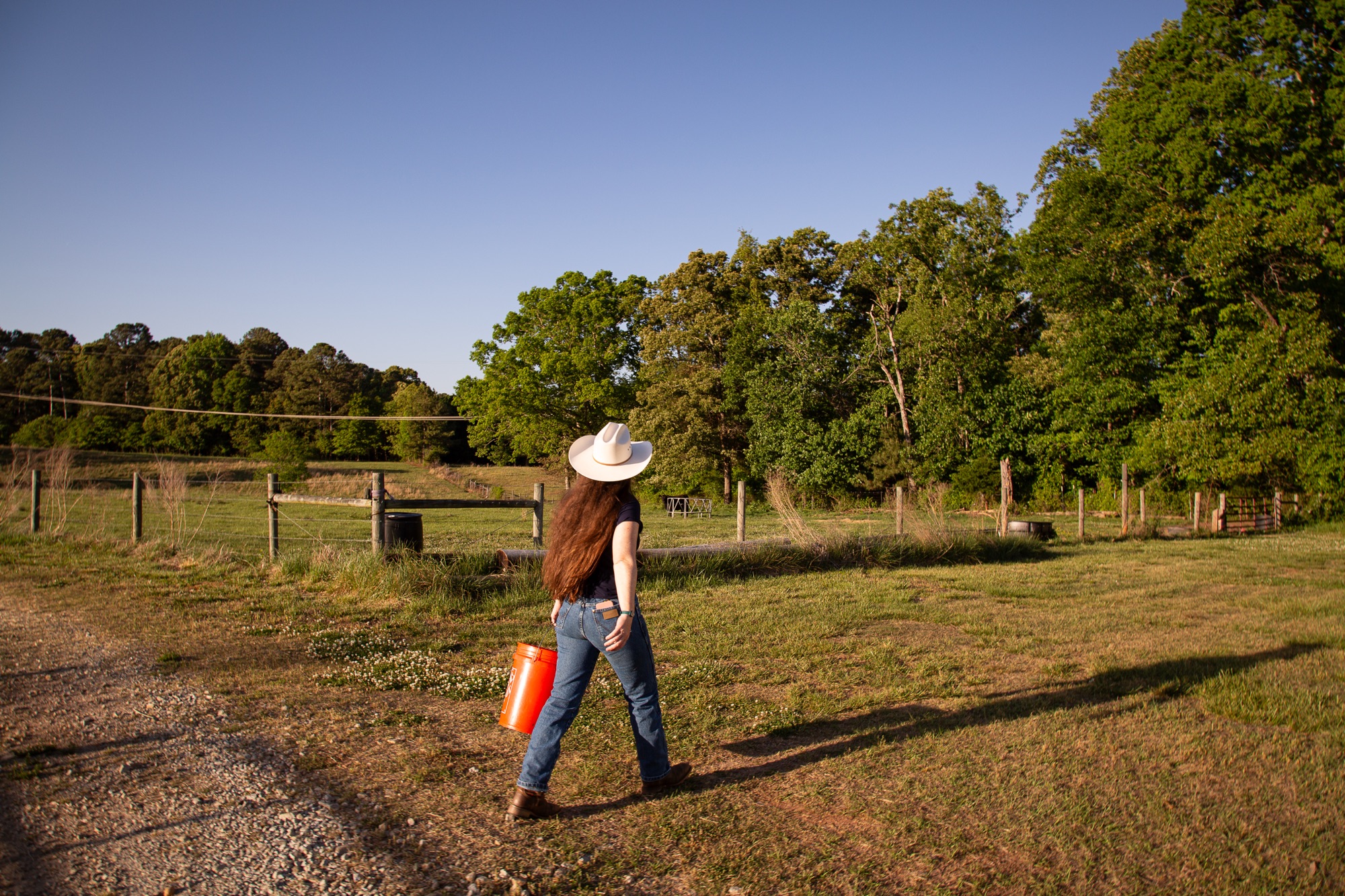 Long Days, Longer To-Do Lists: A Summer Update from Deer Creek Pastures